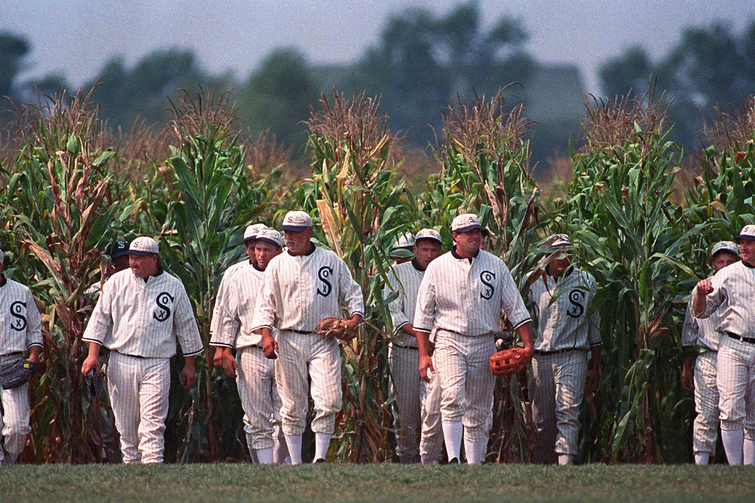 Field of Dreams